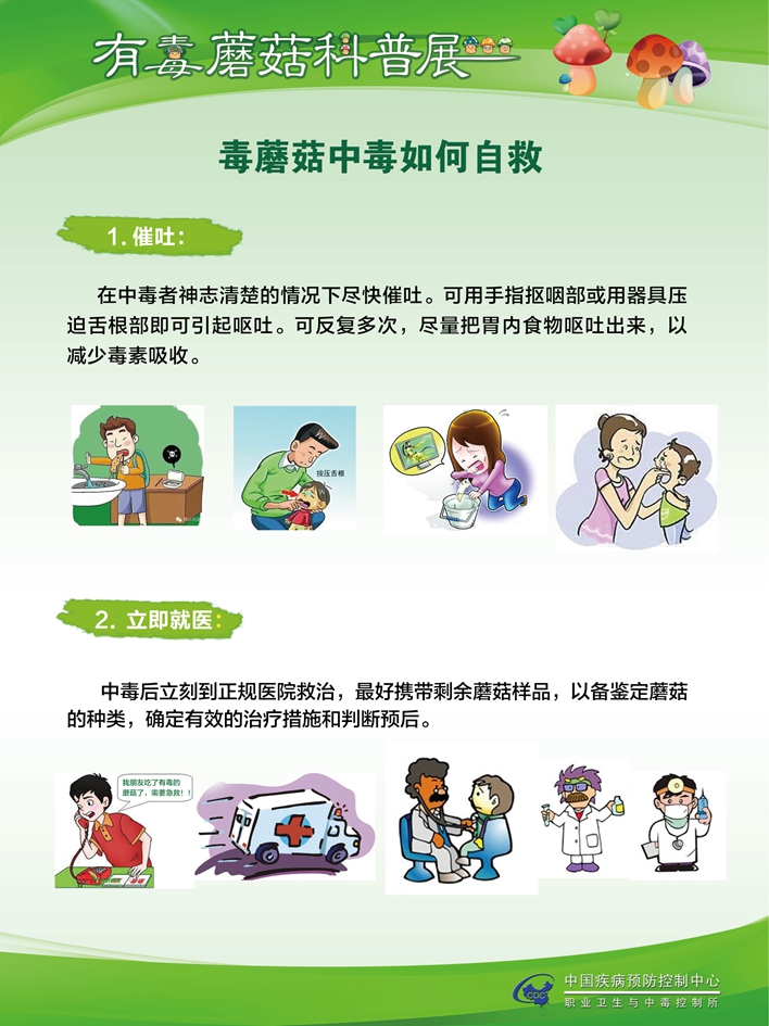 毒蘑菇中毒科普(二)