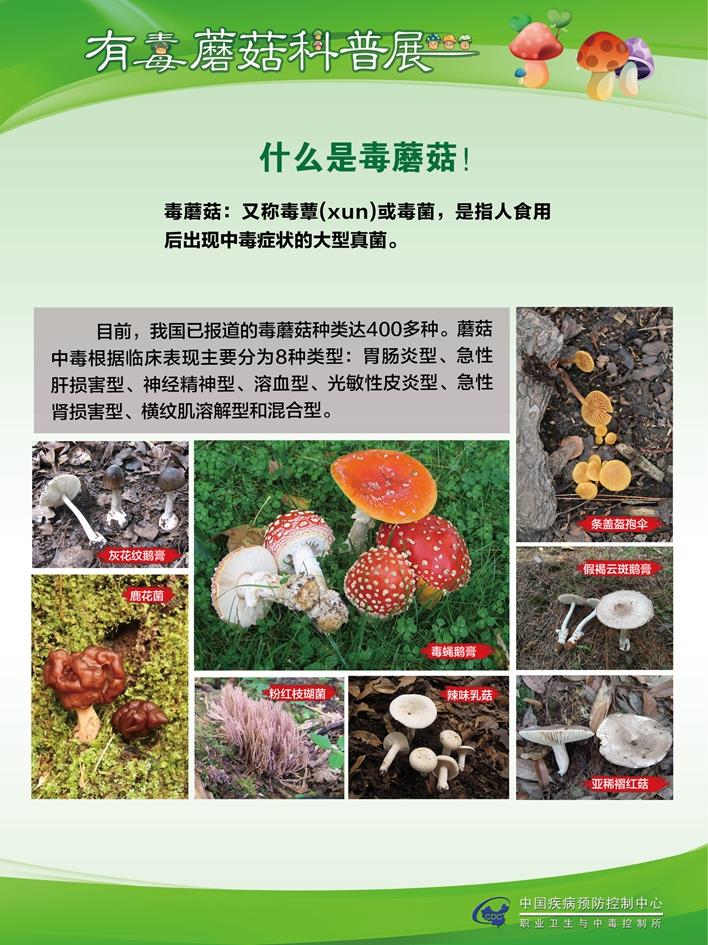 预防野生菌中毒科普一